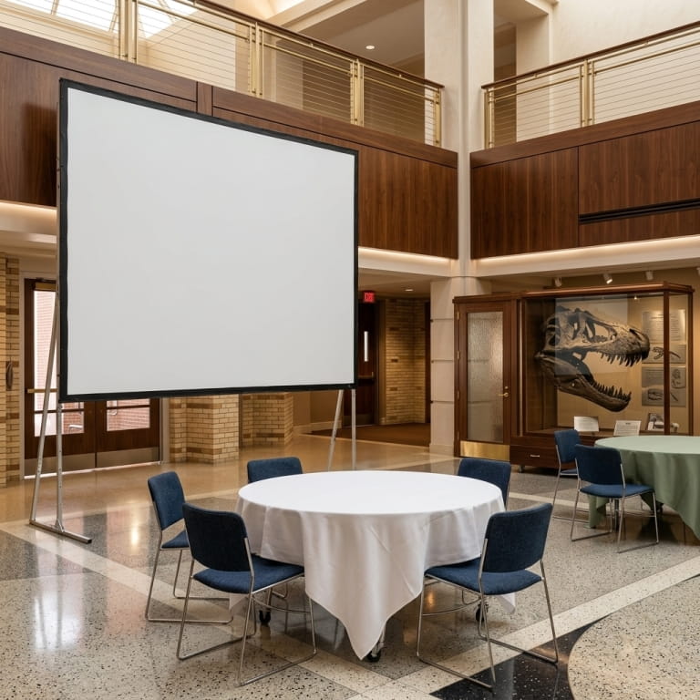 Мобильный экран для проектора